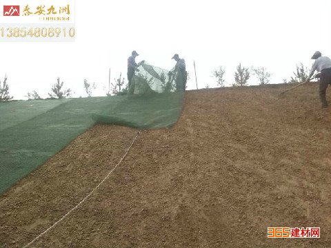 EM5国标三维植被网,路堤边坡绿化