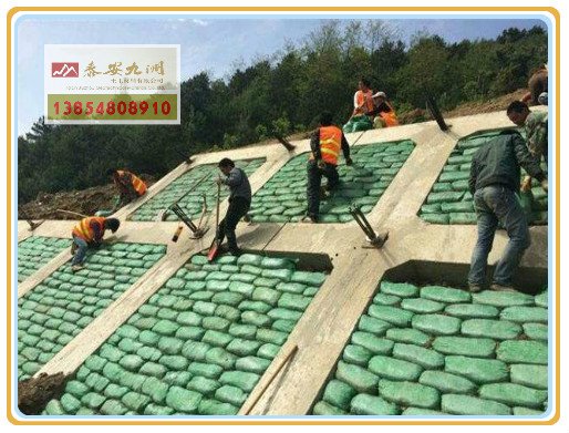 石质边坡绿化用植生袋