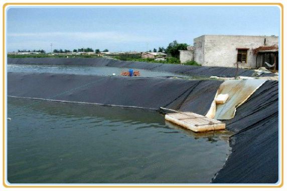 蓄水池防渗膜HDPE土工膜