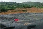 污水处理池防渗土工膜