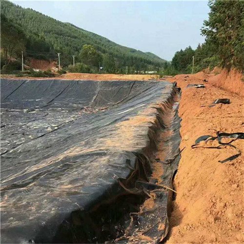 1.0mm����������Ĥ��ê�̷���