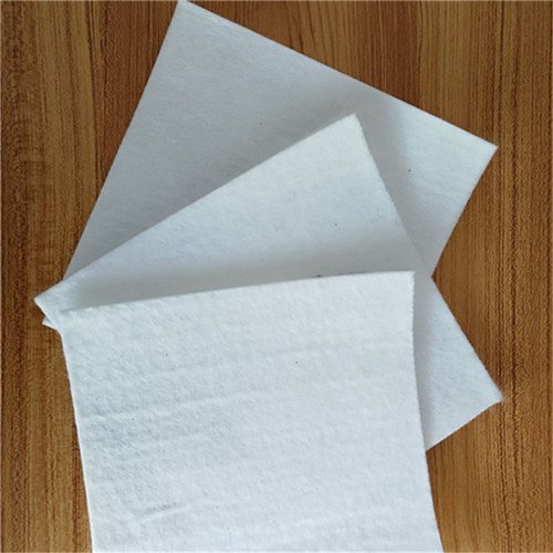 600���˹�����������Ĥ�ĺ��