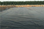 1.5mmĤ