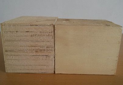 Ř齺ϰ