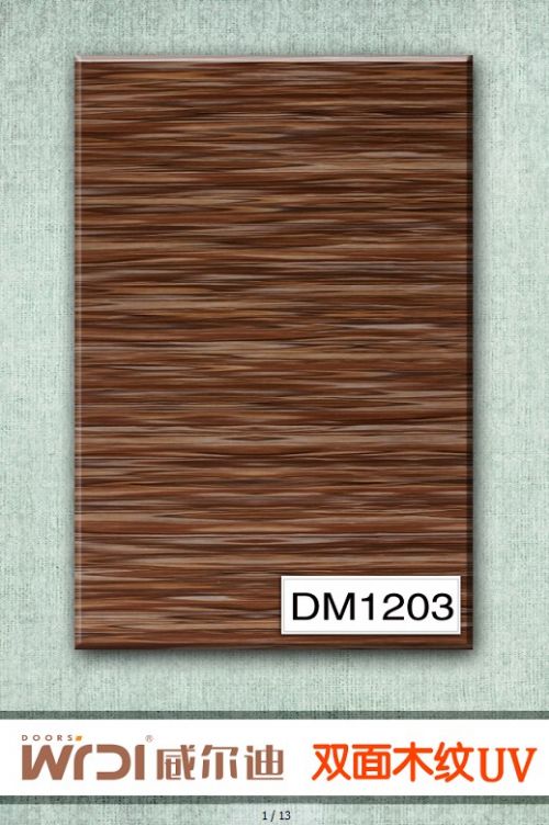 ˫ľDM1203