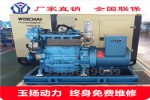 Ϋ30kw