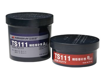 TS111޲