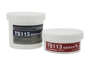 TS113޲