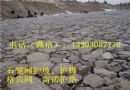 生态护坡包塑固滨石笼护脚