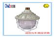 川王BAD粉尘防爆灯100w