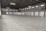 羽毛球馆体育运动木地板