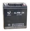 Ǧ6FM-24