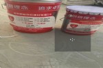 ཬ֬ѷ޲