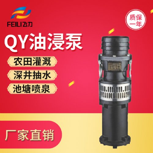 QYͽ
