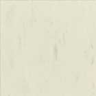 常州丽宝第pvc塑胶地板 新明丽NMV