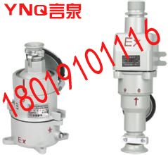 BCD53-16A/380Vֱʽ