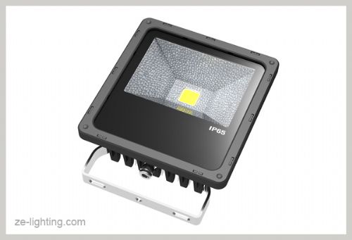 20w-ledͶ