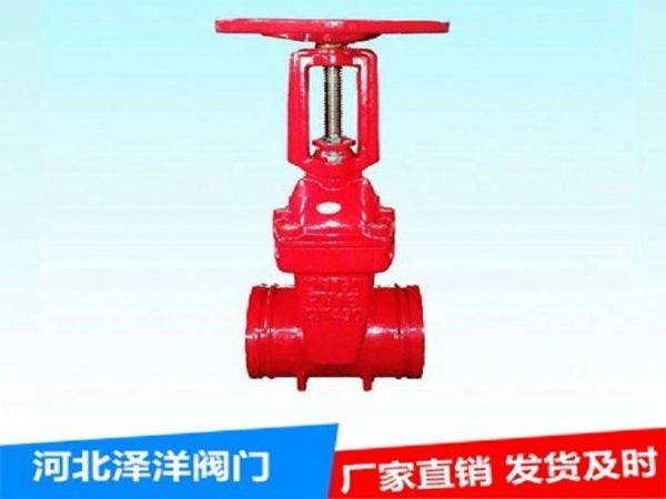 Z41Tͭоբ ͭоբ բ