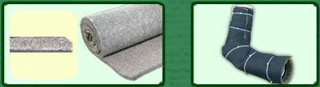 ǽGOMA TEX11