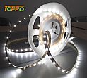 5050LED