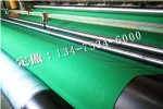 200克绿色土工布