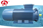 ZYP2-132S2-2ٵ