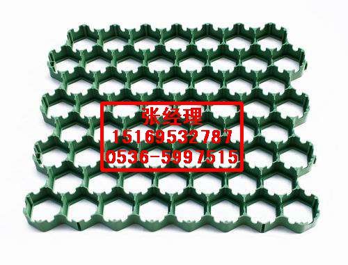 供应消防车道聚乙烯植草格