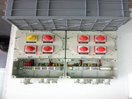 BXMD51·䳧