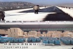 AMP-100鷴ӦˮͿ ˮͿϳֱ