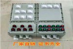 现场风机启停防爆磁力开关配电箱